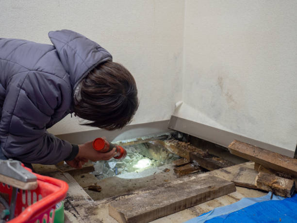 Best Mold Documentation for Insurance Claims  in Bloomingdale, GA