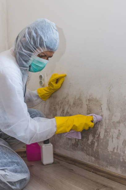 Best Residential Mold Inspection & Testing  in Bloomingdale, GA
