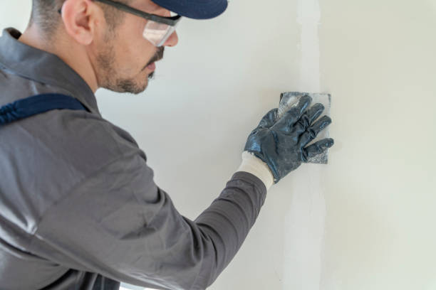 Best Black Mold Removal  in Bloomingdale, GA