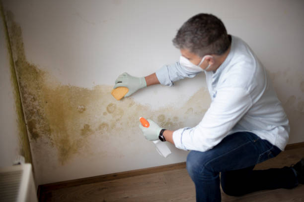 Best Crawl Space Mold Remediation  in Bloomingdale, GA