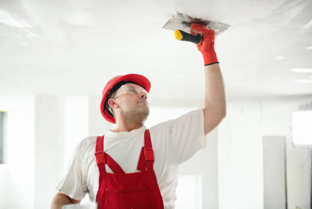 Trusted Bloomingdale, GA Mold Removal Experts