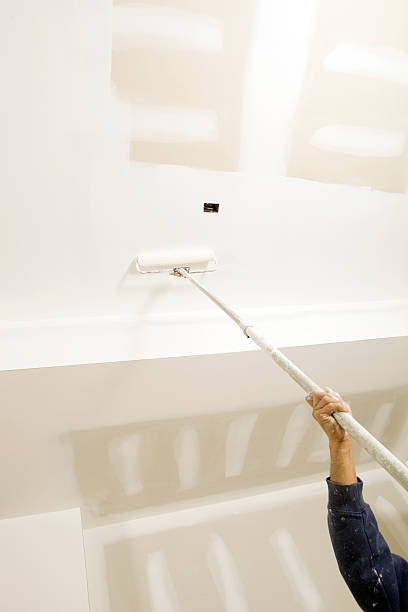 Best Basement Mold Removal  in Bloomingdale, GA
