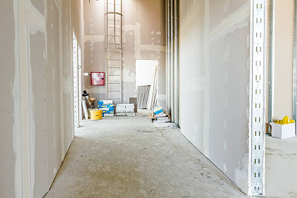 Best Mold Damage Restoration  in Bloomingdale, GA